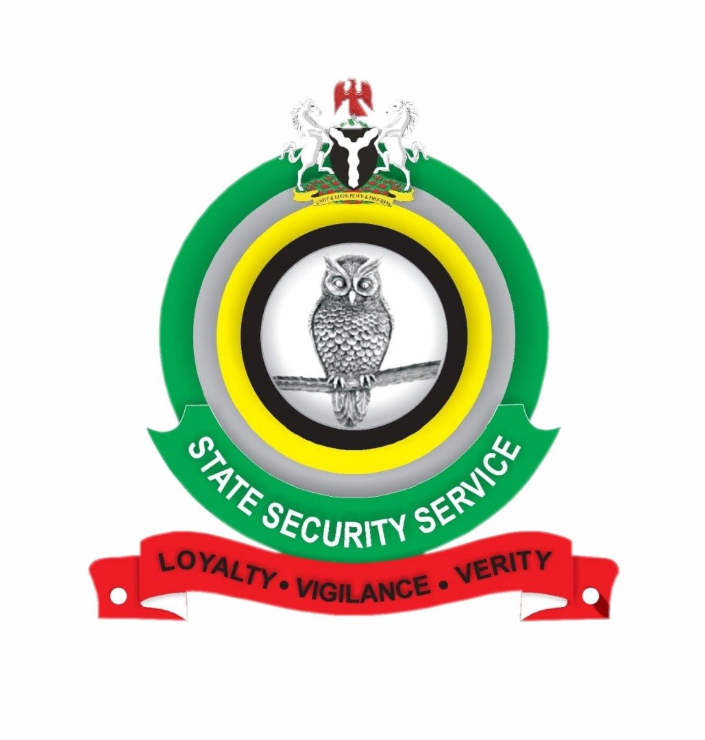 DSS-logo